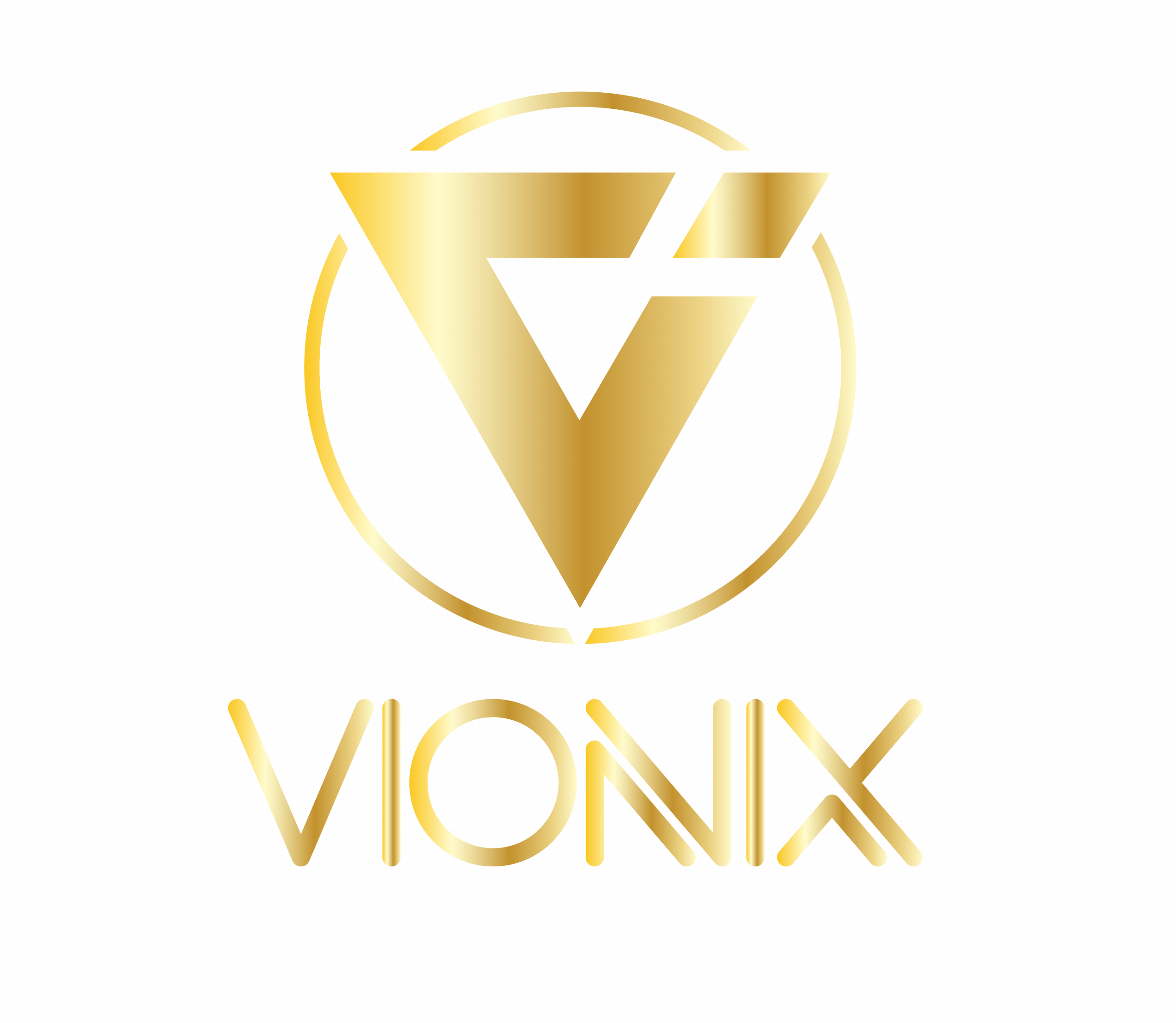 VionixDigitalHub